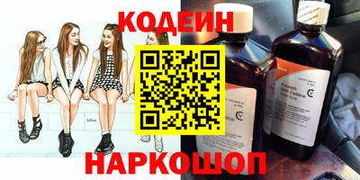индика Можайск
