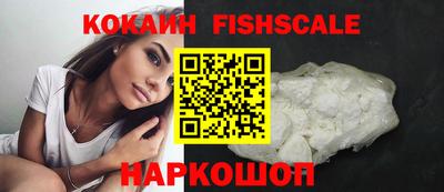 стаф Можга