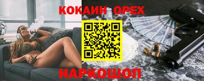 стаф Можга