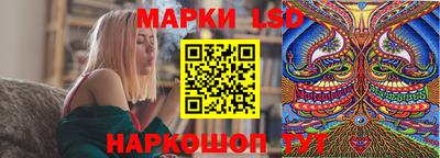 мяу мяу мука Моздок