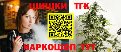 индика Можайск