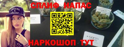 индика Можайск