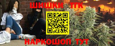 стаф Можга