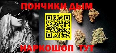 стаф Можга