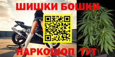 индика Можайск