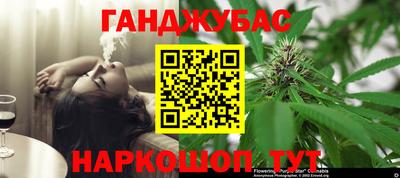стаф Можга
