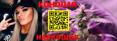 стаф Можга