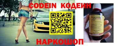 индика Можайск