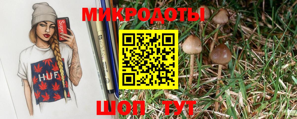 закладка  Галлюциногенные грибы Cubensis  Вход с VPN  Галлюциногенные грибы Psilocybine cubensis  Холмск 
